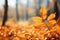 Natures palette golden autumn leaves, blurred fall landscape, serene pastels