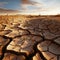 Natures plea Cracked soil in desert bears witness to climate changes toll