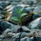 Natures resilience Green plant breaks through stones, symbolizing growth