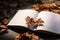 Natures touch on an open book, leaves captured in pages