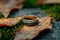 Natures touch wedding ring nestled among dry leaves