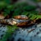 Natures touch wedding ring nestled among dry leaves