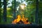 Natures warmth Campfire burning brightly against lush green backdrop