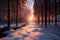 Natures winter beauty shines through a forest sunset scenery