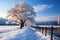 Natures wintry charm a scenic view of snow covered, majestic trees