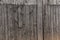 Natutal wooden texture background closeup unpainted