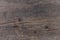 Natutal wooden texture background closeup unpainted