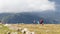 Nauders, Austria - August 9, 2017: People walking on a mountain