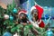 Naughty adult dachshund dog and restless puppy in Santa costumes have filled up artificial Christmas tree decorated with