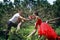 Naughty bride in red dress and her groom