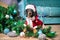 Naughty dachshund dog in a sweater and a red cap played too much and filled up artificial Christmas tree decorated with