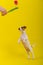 A naughty dog is jumping for a tulip in the studio on a yellow background. Funny puppy Jack Russell Terrier plays with