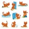Naughty kitten in different situations, mischievous cute little cat vector Illustrations on a white background