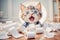 naughty kitten with a scared face, was caught playing with toilet paper, concept Animals