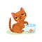 Naughty kitten trying to catch aquarium fish, mischievous cute little cat vector Illustration on a white background
