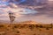 Naukluft Nature Reserve, Namib Desert, Namibia