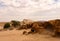 Naukluft Nature Reserve, Namib Desert, Namibia