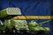 Nauru heavy military armored vehicles concept on the national flag background. 3d Illustration