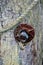 Nautical hardware on driftwood bridge at Kalaloch Beach, Olympic National Park Washington