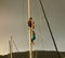 Nautical performers climbing a mast at admiralty bay, bequia