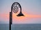 Nautilus Lamp At Sunrise