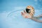 nautilus seashell in child hands with crystal blue water background
