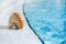 Nautilus shell at resort swimming pool edge