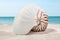 Nautilus shell on sandy beach near ocean, closeup view