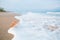 Nautilus shell with sea wave, Florida beach under the sun ligh