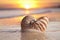 Nautilus shell in the sea wave sunrise, warm light