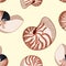 Nautilus shells colorful doodles seamless pattern. Background template of stock sea shells for wrapping design, wallpaper.