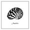 Nautilus Tiger Seashell. Black and white square card. Hand-Ð²rawn collection of greeting cards. Vector illustration.