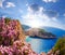 Navagio beach with shipwreck and flowers against blue sky on Zakynthos island, Greece