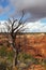 Navajo National Monument