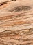 Navajo Sandstone in Zion