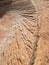 Navajo Sandstone, Zion National Park