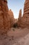 Navajo Trail Winds Down into Bryce Canyon