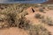 Navajo tribe sweat lodge Eagle point Native American Tribal Structures Grand Canyon