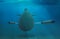 Naval submarine firing torpedoes underwater