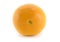 Navel Orange