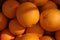 Navel orange, Citrus sinensis
