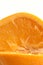 Navel orange macro