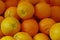 Navel oranges close up for market