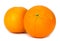 Navel oranges on white background