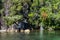 Navigating the Lake of Todos los Santos - Peulla- Chile - Andean Crossing