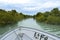 Navigating the strange and beautiful mangrove forests whose roots are in the water.