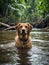 A navigator dog bravely traverses the wild river\\\'s currents. Generative AI
