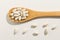 Navy Bean legume. Healthy grains on a wooden spoon. White background.