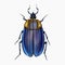 Navy Blue Beetle Insect Arthropod Variation 1 Isolated, Transparent Background