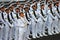 Navy guard-of-honor contingent
